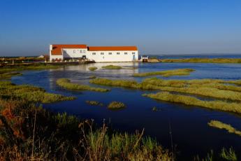 Avançar na defesa do Ambiente
