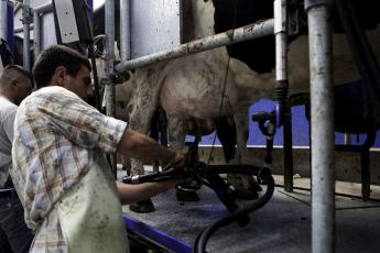 Valorizar a produção nacional e fazer avançar o País
