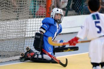 Hóquei em Patins